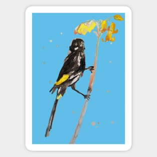 Australian Honeyeater Bird Painting - New Holland on Pale Blue Sticker